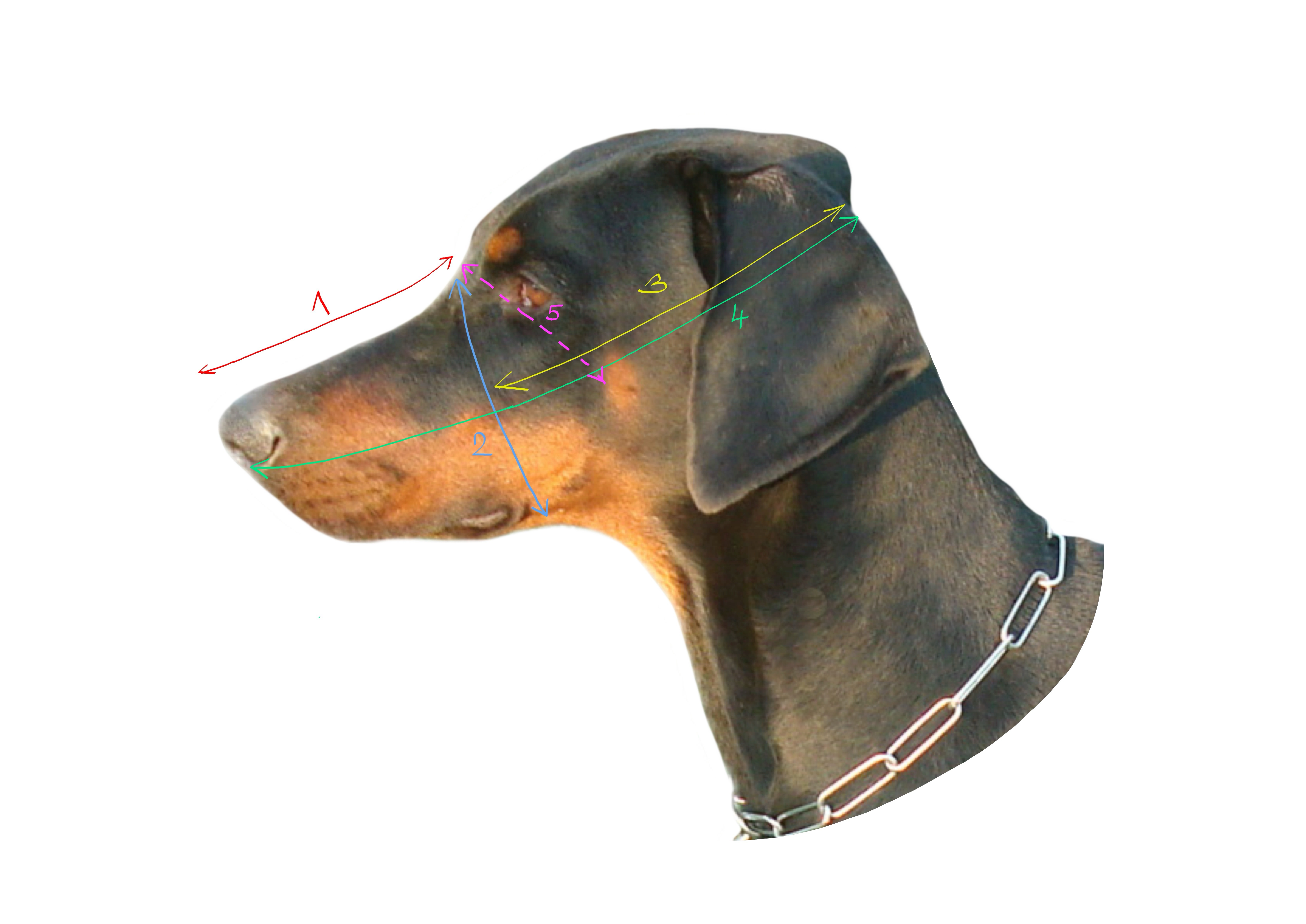 DSC02001 (kopie).png_1